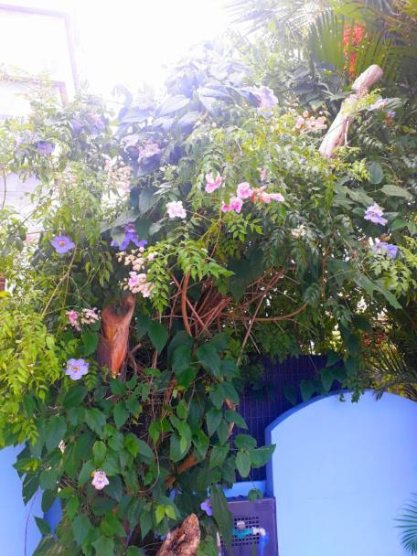 Pousada Los Casarones Florianópolis 외부 사진